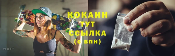 гидропоника Горняк
